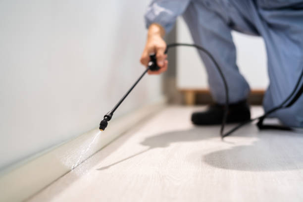 Licensed Wasp Control service in Lake Fenton, MI - Nex Pest Control