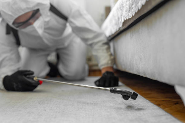 Professional Wasp Control technician working in Lake Fenton, MI