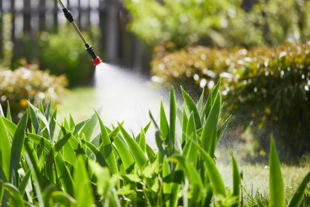 24/7 Emergency Mosquito Control experts in Lake Fenton, MI