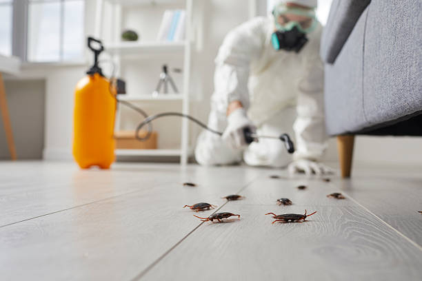 Trusted Cockroach Control service in Lake Fenton, MI - Nex Pest Control