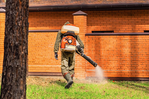 Trusted Mosquito Control service in Lake Fenton, MI - Nex Pest Control